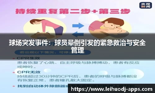 雷火电竞官方正版网站